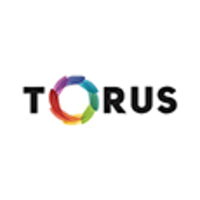 Torus Cold  Press Juicers