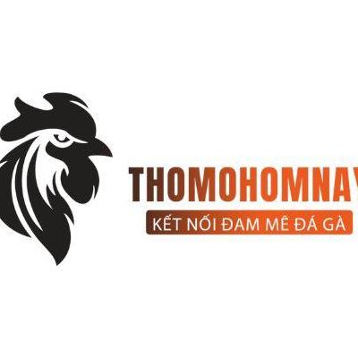 Đá Gà Thomo  Hôm Nay