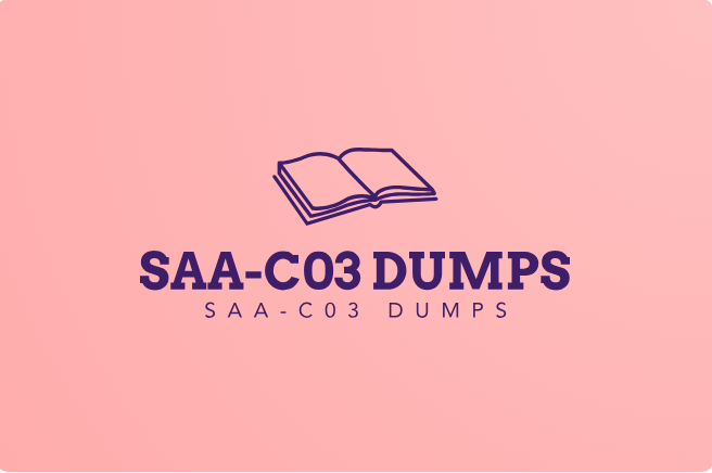 SAA-C03 Dumps