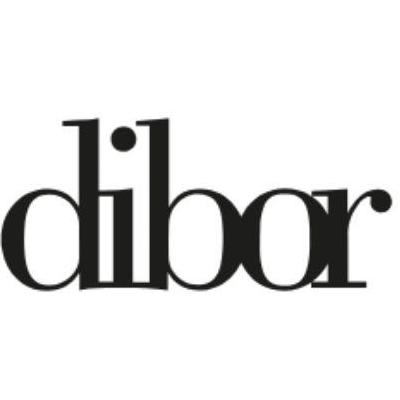 dibor.co.uk_gmail 