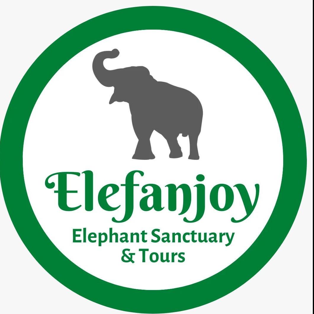 Elefan Joy