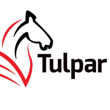 Tulpar Global   Taxation