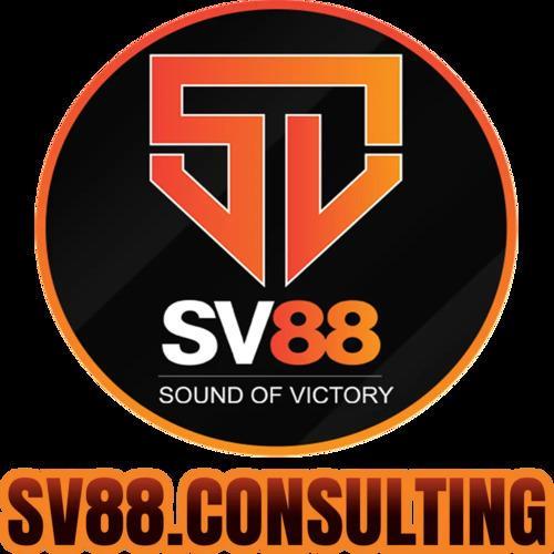 SV88  Consulting