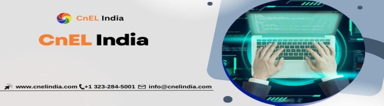 CnEL India