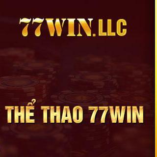 77win Llc