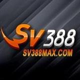 SV388max com