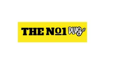 Theno1 Plug