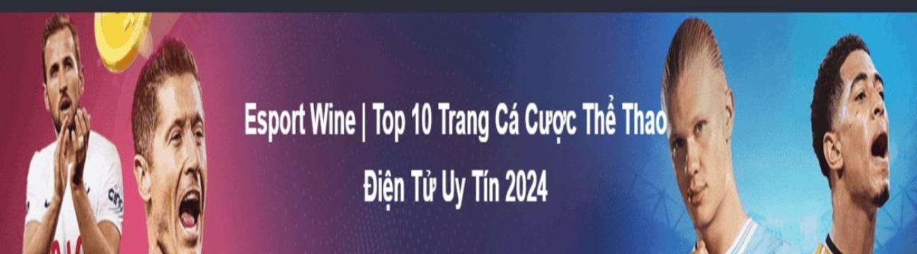 Esport Wine Top 10 Trang Cá Cược Thể Thao Điện Tử Uy Tín 2024