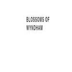 Blossomof Wyndham