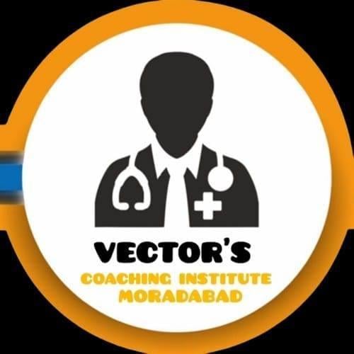 Vectors MBBS Abroad Consultancy