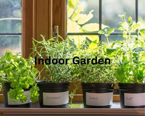 indoor-garden