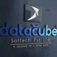 Datacube Softech Company 