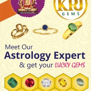 Best Tamil astrologer Online